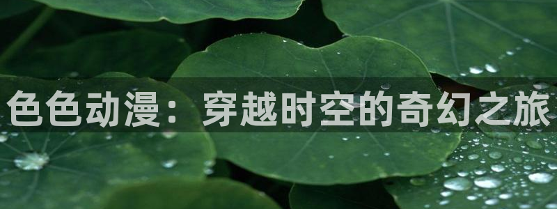 免费里番动漫网站：色色动漫：穿越时空的奇幻之旅
