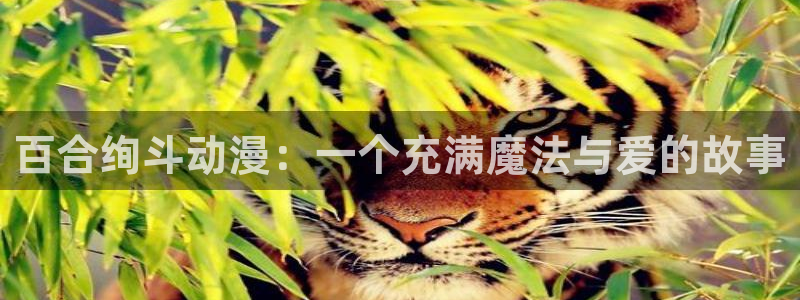 里番动漫应用