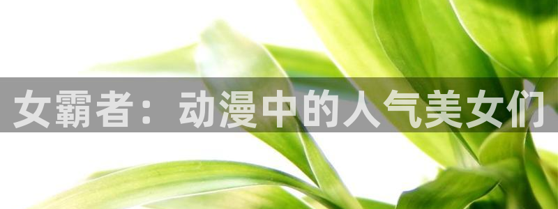 3d里番动漫网：女霸者：动漫中的人气美女们