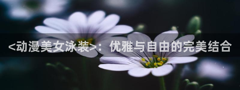 男男里番动漫：<动漫美女泳装>：优雅与自由的完美结合