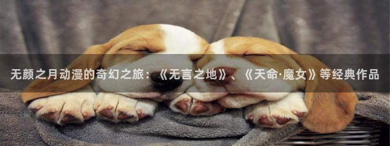 里番动漫总站：无颜之月动漫的奇幻之旅：《无言之地》、《天命·魔女》等经典作品