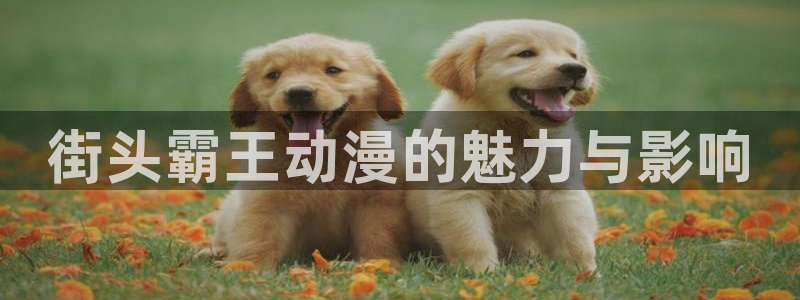 里番动漫哪个更好看：街头霸王动漫的魅力与影响