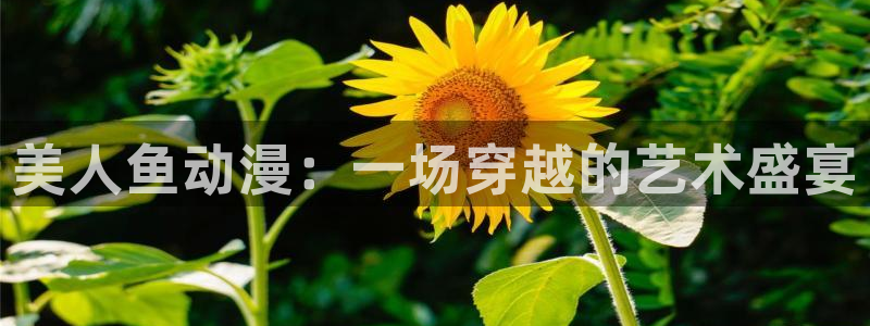 日本动漫里番在线观看：美人鱼动漫：一场穿越的艺术盛宴