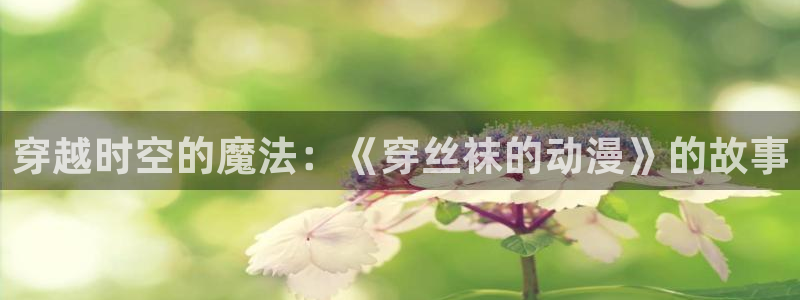 里番动漫网址