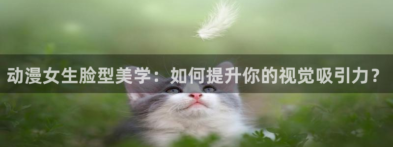里番动漫在线视频：动漫女生脸型美学：如何提升你的视觉吸引力？