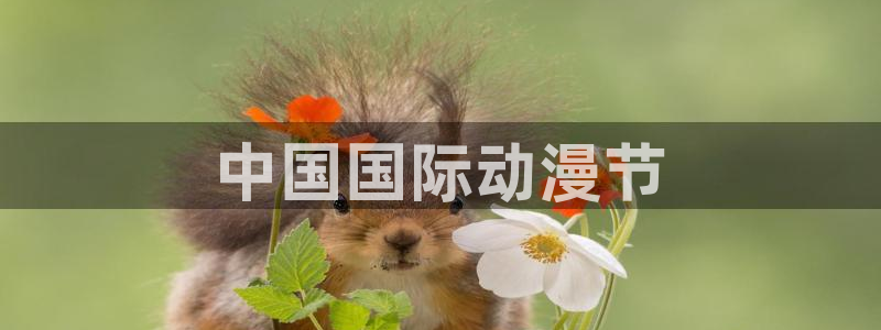 里番动画推荐：中国国际动漫节