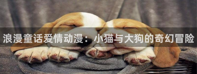 3d动画里番：浪漫童话爱情动漫：小猫与大狗的奇幻冒险