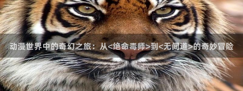 里番h：动漫世界中的奇幻之旅：从<绝命毒师>到<无间道>的奇妙冒险