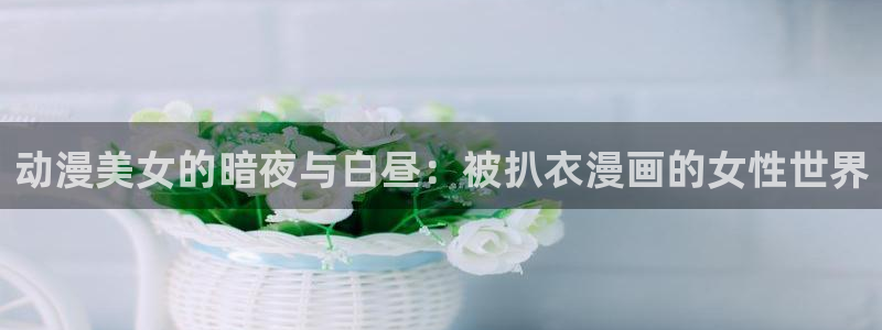 l里番动漫：动漫美女的暗夜与白昼：被扒衣漫画的女性世界