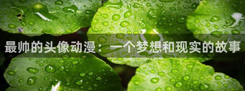 里番动漫 在线观看