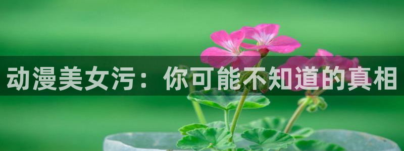 里番漫app：动漫美女污：你可能不知道的真相