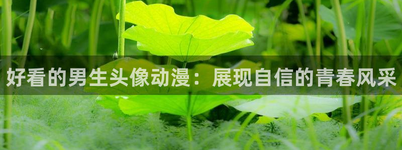 里番动漫在线免费看：好看的男生头像动漫：展现自信的青春风采