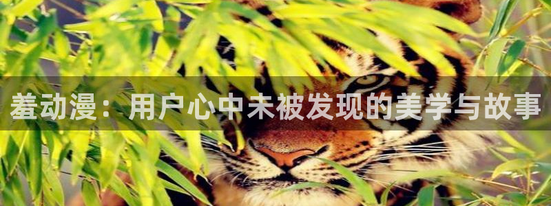 里番库动漫：羞动漫：用户心中未被发现的美学与故事