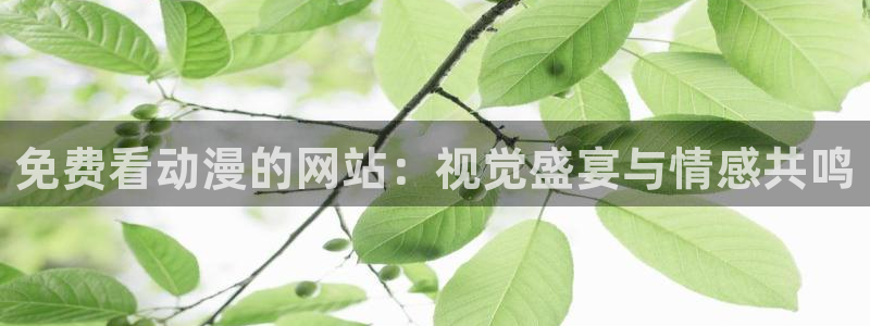 最新里番动漫推荐：免费看动漫的网站：视觉盛宴与情感共鸣