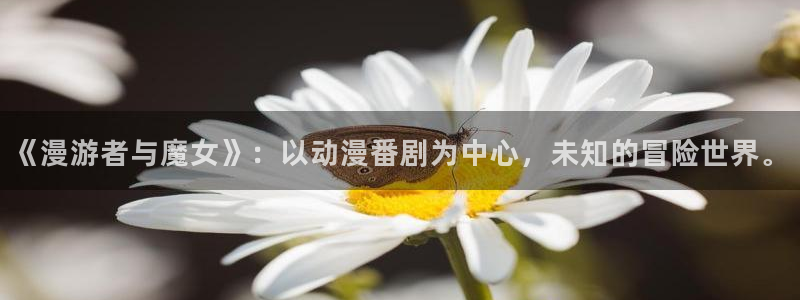 大尺度动漫里番：《漫游者与魔女》：以动漫番剧为中心，未知的冒险世界。