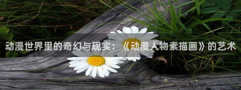 里番动漫：动漫世界里的奇幻与现实：《动漫人物素描画》的艺术