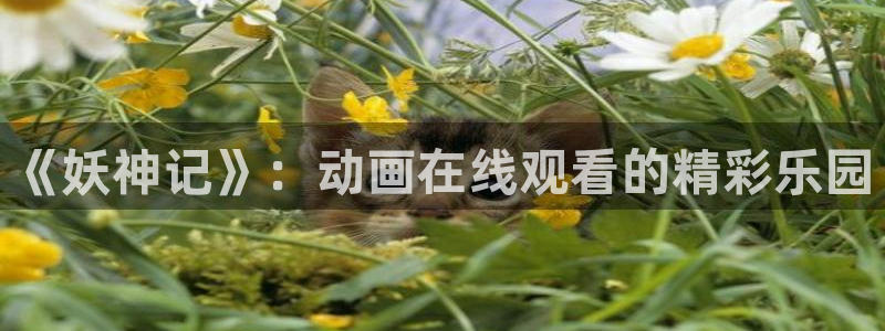 雷火剑里番动漫：《妖神记》：动画在线观看的精彩乐园