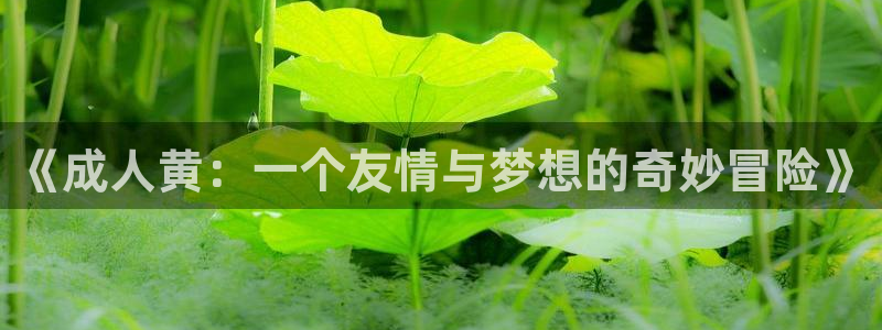 禁漫里番：《成人黄：一个友情与梦想的奇妙冒险》