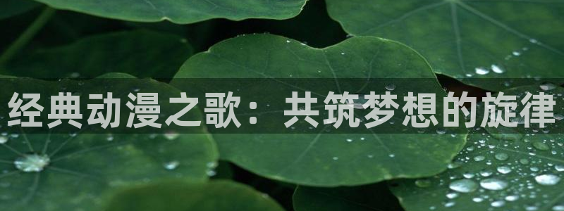 里番漫画巨乳：经典动漫之歌：共筑梦想的旋律