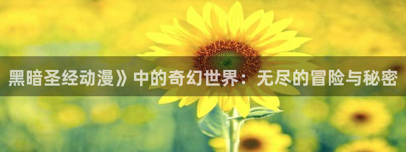 日本里番漫画库：黑暗圣经动漫》中的奇幻世界：无尽的冒险与秘密