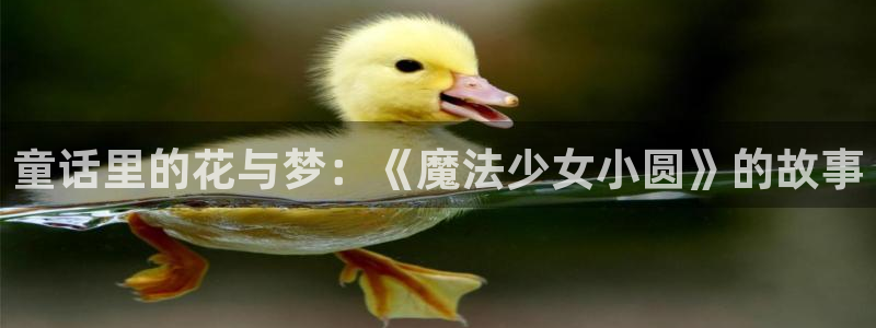 2025最新里番动漫：童话里的花与梦：《魔法少女小圆》的故事
