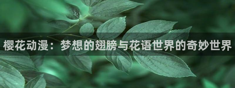 里番动漫看：樱花动漫：梦想的翅膀与花语世界的奇妙世界