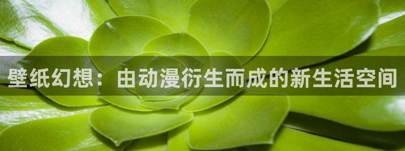 樱花里番动漫