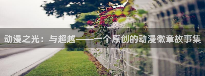 动漫新里番：动漫之光：与超越——一个原创的动漫徽章故事集