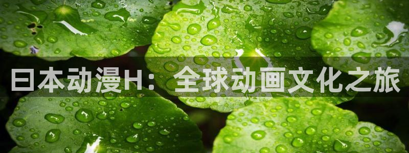 里番动画吧：曰本动漫H：全球动画文化之旅