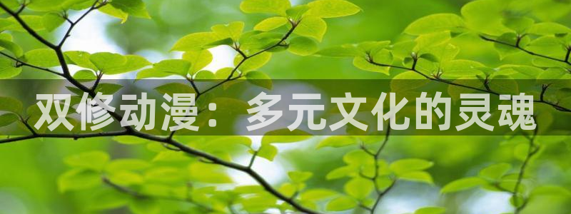 2020年一月动漫里番：双修动漫：多元文化的灵魂