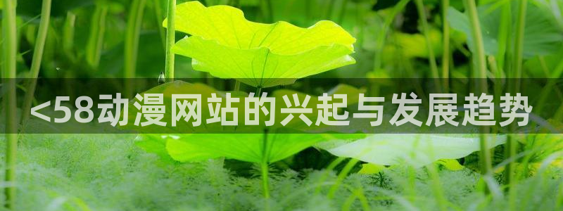 经典里番动漫推荐：<58动漫网站的兴起与发展趋势