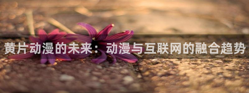 里里番动漫：黄片动漫的未来：动漫与互联网的融合趋势