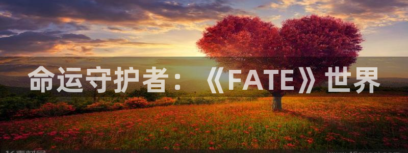 里番动画大全：命运守护者：《FATE》世界